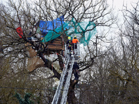 Firefighters and policemen from the CNAMO, a specialized unit, are trying to dislodge an 'Ecureuil' living in a tree. The 'Ecureuil' can be...