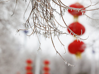 Frozen plants are seen in a park in Suqian, Jiangsu Province, China, on February 22, 2024. (