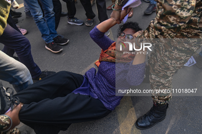India Farmers Protest