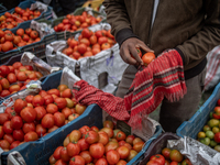 Vendors are preparing tomatoes for sale at the Kawran Bazar wholesale market in Dhaka, Bangladesh, on February 23, 2024. (