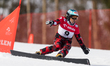 Claudia Riegler is competing in the FIS Snowboard World Cup parallel giant slalom in Jawor...
