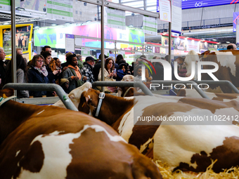 Spectators are looking at and photographing cows at the International Agricultural Show in Paris, in Paris, France, on February 24, 2024. (