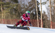 Daniela Ulbing is competing in the FIS Snowboard World Cup parallel giant slalom in Jaworz...