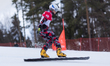 Arvid Auner is competing in the FIS Snowboard World Cup, parallel giant slalom, in Jaworzy...
