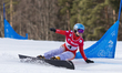Ladina Jenny is competing in the FIS Snowboard World Cup, parallel giant slalom, in Jaworz...