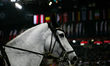 The horse Echo van Spalbeek Z is competing in the World Cup Grand Prix for the PKO Bank Po...