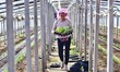 A farmer is carrying watermelon seedlings in Wangjiayang village, Qingzhou, China, on Febr...