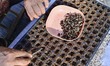 A farmer is planting a watermelon in a seedling tray in Wangjiayang village, Qingzhou City...