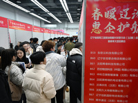 A large number of job seekers are attending a spring job fair in Shenyang, Liaoning Province, China, on February 28, 2024. (