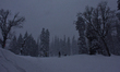 People are skiing down the slopes amid heavy snowfall at a ski resort in Gulmarg, Baramull...