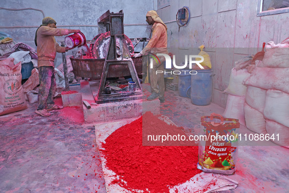 Workers are preparing eco-friendly colored powder 'Gulal' at the Balaji International factory ahead of the Holi festival in Jaipur, Rajastha...