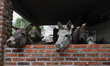Donkeys are being seen in captivity at the 'Burrolandia' Theme Park, located in the extrem...