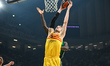 Jan Vesely of FC Barcelona is playing in the Euroleague, Round 31, match between Panathina...
