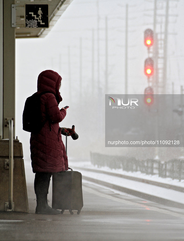 Spring Snowstorm In The GTA