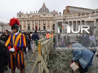Devotees before the Palm Sunday mass at Saint Peter's Square in Vatican on March 24, 2024. (