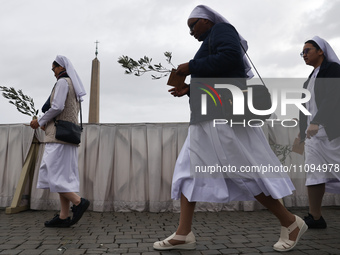 Nuns before the Palm Sunday mass at Saint Peter's Square in Vatican on March 24, 2024. (