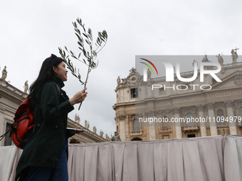 Devotee before the Palm Sunday mass at Saint Peter's Square in Vatican on March 24, 2024. (