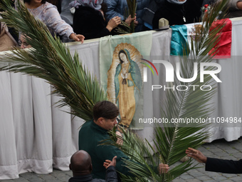 A man carries palms before the Palm Sunday mass at Saint Peter's Square in Vatican on March 24, 2024. (