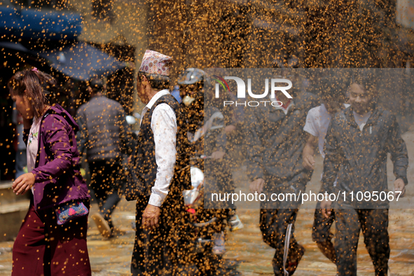 Nepali revelers are rushing towards their destination to celebrate Holi, the festival of colors, in Kathmandu, Nepal, on March 24, 2024. Tho...