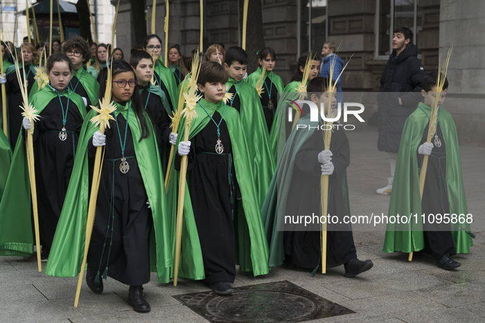 Palm Sunday Procession