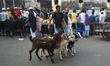 A person is selling goats at a marketplace during the fasting month of Ramadan in Kolkata,...