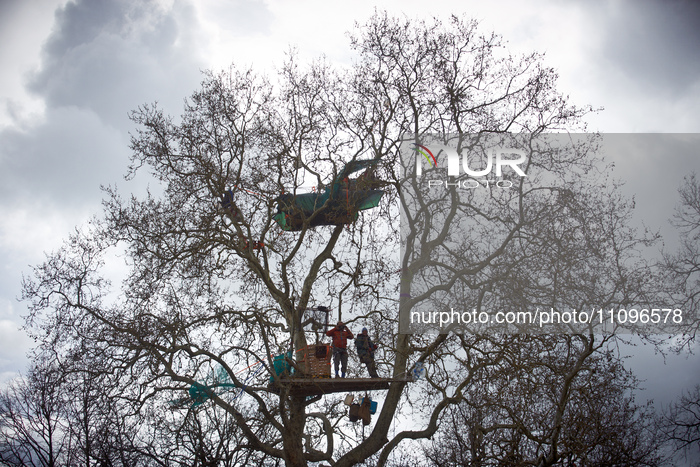 After 37 Days In The Trees To Block The Cut Of Trees For The A69 Highway, 'Ecureuils Climb Down