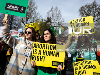 Pro-choice activists attend a demonstration at the Supreme Court as it hears oral arguments in a case that could end access to the  medicati...