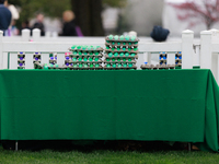 Colored eggs rest on a table the 2024 White House Easter Egg Roll on the South Lawn of the White House in Washington, D.C. on April 1, 2024....