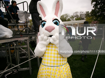 A person in an Easter Bunny costume enter the 2024 White House Easter Egg Roll on the South Lawn of the White House in Washington, D.C. on A...