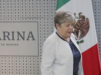 Alicia Barcena Ibarra, Mexico's Secretary of Foreign Affairs, is waiting at Mexico City International Airport for the Mexican diplomatic tea...