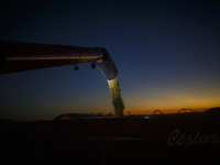 Grain is being unloaded from the combine onto a grain trailer in the last light of the day. (