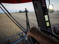 The reel of the combine is being seen from inside the driver's cabin. (