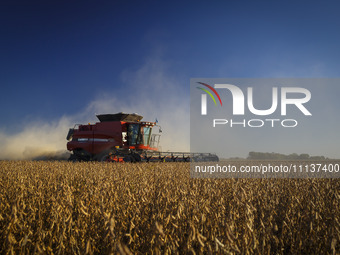 A combine harvester is harvesting a soybean field. (