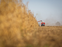 A combine is unloading soybeans onto a grain trailer as it harvests a soybean field. (