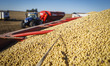 A tractor is passing by a fully loaded grain trailer after unloading soybeans. 