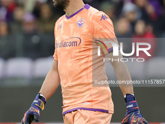Pietro Terracciano of ACF Fiorentina is playing in the UEFA Europa Conference League 2023/24 quarter-final second leg match against FC Vikto...