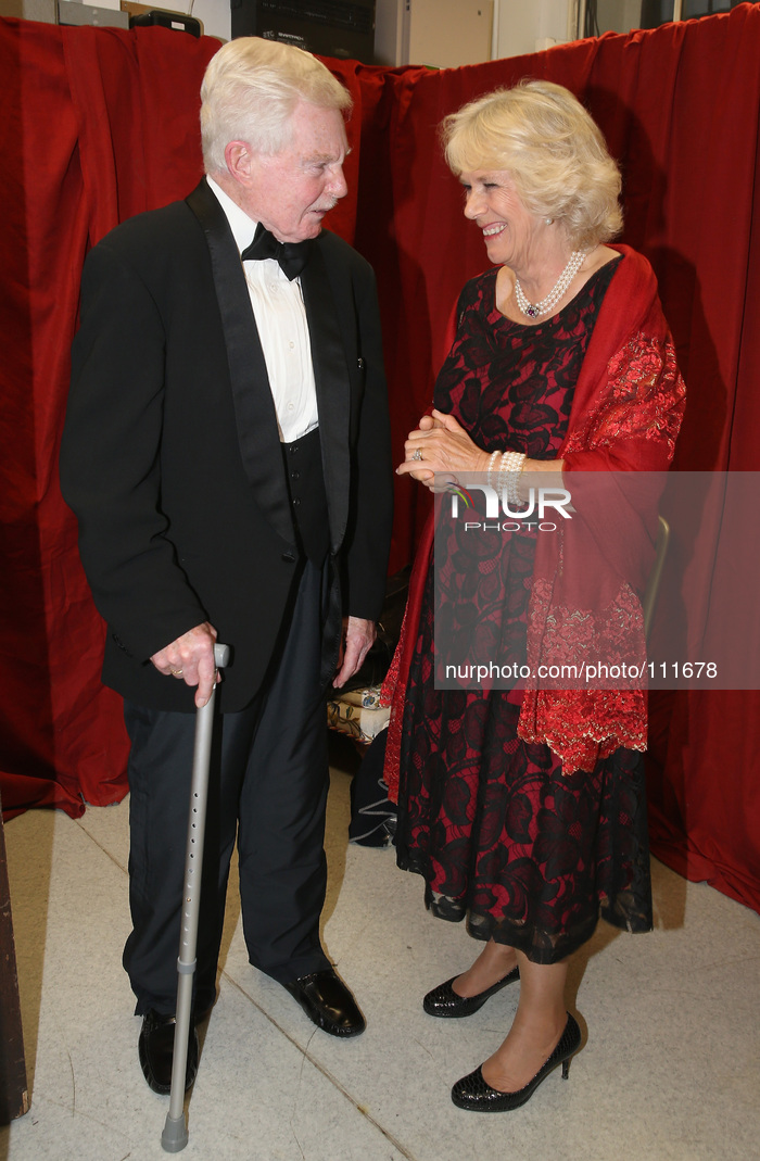 The Duchess Of Cornwall Attends The 300th Anniversary Gala For St John's Smith Square