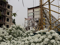 Bushes are blooming outside the apartment building at 118 Naberezhna Peremohy Street, which was hit by a Russian Kh-22 missile on January 14...