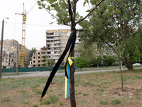 Black and blue and yellow ribbons are being tied to a tree outside the apartment building at 118 Naberezhna Peremohy Street in Dnipro, Ukrai...