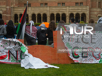 Pro-Palestine protesters occupied a space on the UCLA campus in Los Angeles, CA, on April 25, 2024, in support of Palestinian people. (