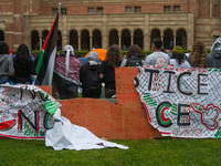 Pro-Palestine protesters occupied a space on the UCLA campus in Los Angeles, CA, on April 25, 2024, in support of Palestinian people. (