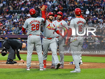 Alec Burleson #41 of the St. Louis Cardinals is being congratulated after hitting a three-run homer during the second inning of a baseball g...