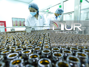 Workers are inspecting pre-filled bottles on an automated production line for bio-tech supercritical fluid extraction low-temperature vacuum...