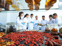 A biotechnology research and development team is conducting an analysis and discussion on agricultural special products in Zhangye, China, o...