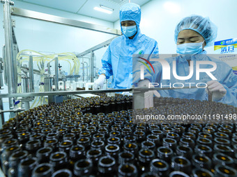 A staff member is checking the automatic filling of products on the automated production line of biotechnology supercritical fluid extractio...