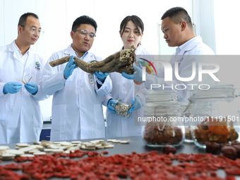 A biotechnology research and development team is conducting an analysis and discussion on agricultural special products in Zhangye, Gansu Pr...