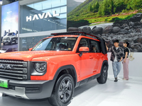 Visitors are touring the Great Wall Motor Exhibition area at the 21st Anhui International Automobile Exhibition in Hefei, Anhui Province, Ch...