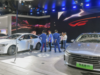 Visitors are viewing the BYD Auto exhibition area at the 21st Anhui International Automobile Exhibition in Hefei, China, on May 3, 2024. (