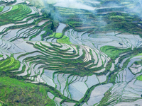 Clouds are swirling around irrigation terraces in Chongqing, China, on May 5, 2024. (