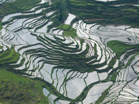 Clouds are swirling around irrigation terraces in Chongqing, China, on May 5, 2024. (
